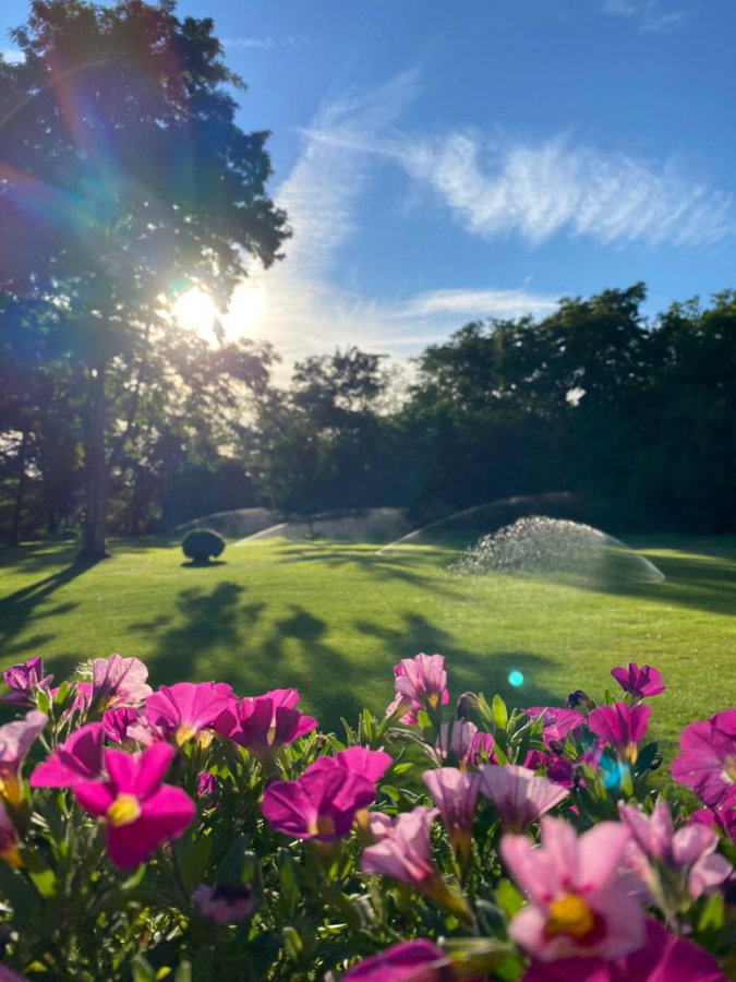 Landschafts- und Gartenbau Brandenburg - Kühnbaum Gartenbau