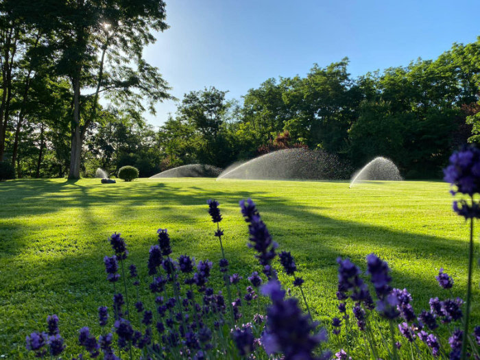 Professionelle Gartengestaltung und Rasenpflege mit Galabau Ricardo Kühnbaum. Verwandeln Sie mit unserer Unterstützung Ihren Garten in ein wahres Paradies. Entdecken Sie die Schönheit von Naturstein und Keramik.