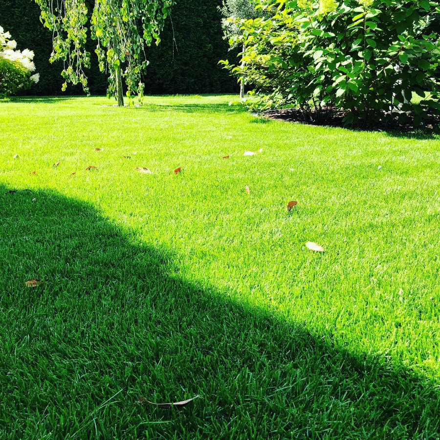 Professioneller Garten- und Landschaftsbau - Kühnbaum Gartengestaltung