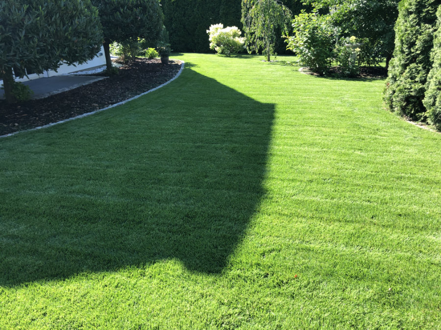 Professionelle Gartengestaltung - mit Galabau Ricardo Kühnbaum. Erfahren Sie, wie wir als Gartengestalter in Brandenburg Ihren Garten individuell gestalten und Ihre persönlichen Vorlieben berücksichtigen. Kontaktieren Sie uns für eine Beratung.